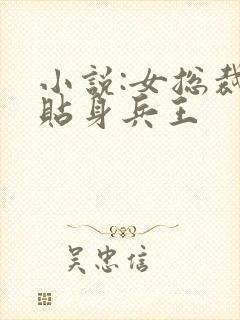 小说:女总裁的贴身兵王