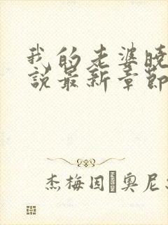 我的老婆晓馨小说最新章节更新时间