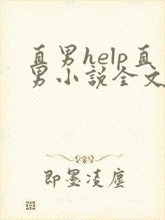 直男help直男小说全文阅读免费阅读封面