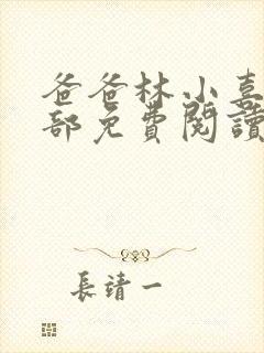 爸爸林小喜第二部免费阅读封面