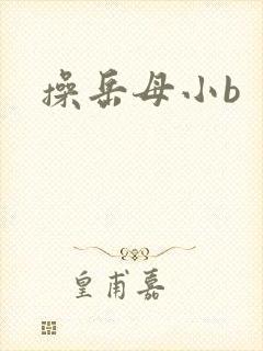操岳母小b