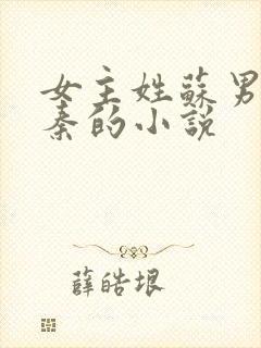 女主姓苏男主姓秦的小说