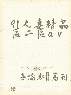 91人妻精品一区二区aⅴ