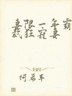 妻限一年霸道总裁狂宠妻封面