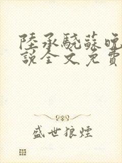 陆承骁苏晚晴小说全文免费阅读最新封面