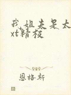 我姐夫是太子txt精校