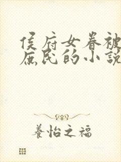 侯府女眷被贬为庶民的小说