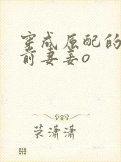 穿成原配的炮灰前妻姜o