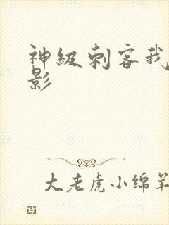 神级刺客我是暗影