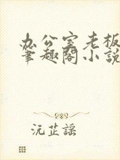 办公室老板秘书笔趣阁小说封面