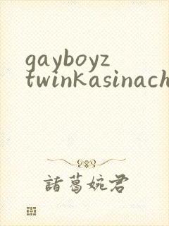 gayboyztwinkasinachinese封面