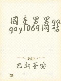 国产男男gaygay1069网站