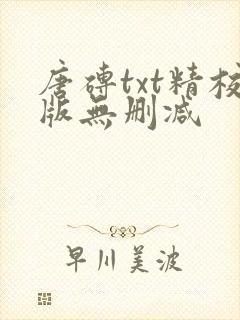 唐砖txt精校版无删减