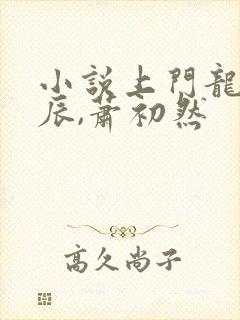 小说上门龙婿叶辰,萧初然