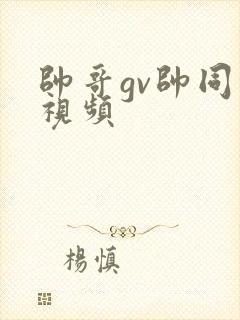 帅哥gv帅同的视频封面
