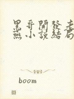 黑哥开发老婆张燕小说结局