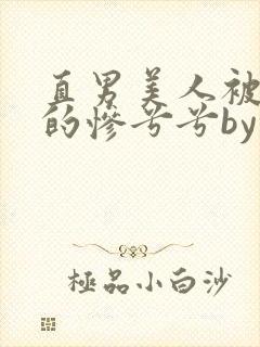 直男美人被欺负的惨兮兮by