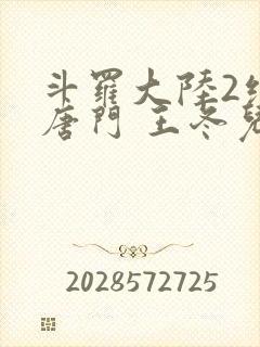 斗罗大陆2绝世唐门 王冬儿封面
