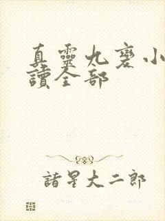 真灵九变小说阅读全部封面