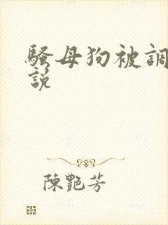 骚母狗被调教小说