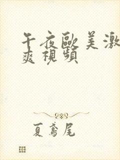 午夜欧美激情爽爽视频