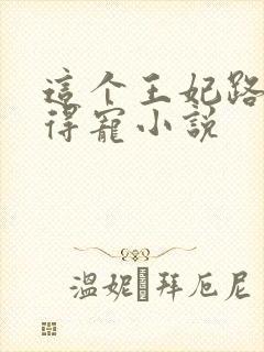 这个王妃路子野得宠小说封面