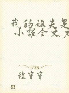 我的姐夫是太子 小说全文免费阅读封面