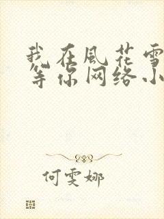 我在风花雪月里等你网络小说