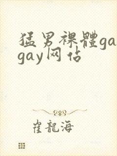 猛男裸体gaygay网站