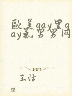 欧美gay里gay气男男网站