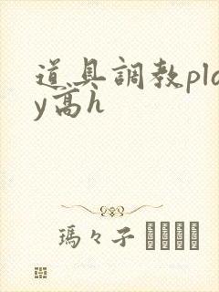 道具调教play高h