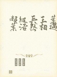 超级兵王叶谦和叶浩然相遇