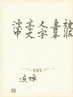 漂亮人妻被强中中文字幕版