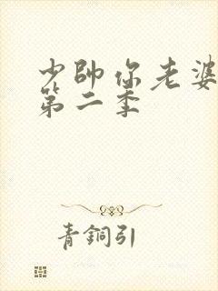 少帅你老婆跑了第二季封面