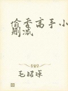 偷香高手小说无删减