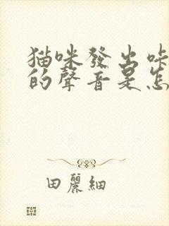 猫咪发出咔咔咔的声音是怎么回事封面