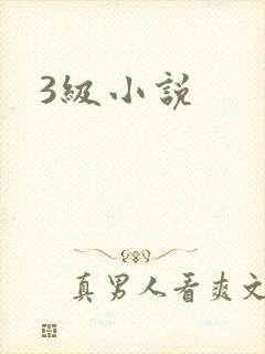 3级小说