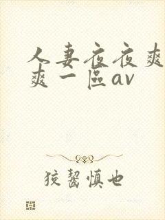 人妻夜夜爽天天爽一区av