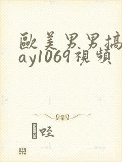 欧美男男搞基gay1069视频