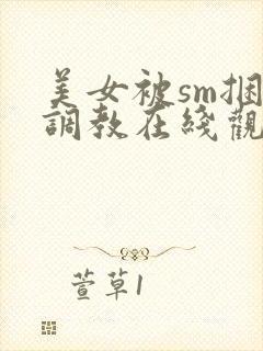 美女被sm捆绑调教在线观看封面