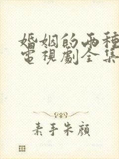 婚姻的两种猜想电视剧全集免费观看