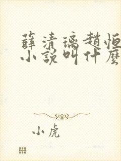 薛清璃赵恒原著小说叫什么封面