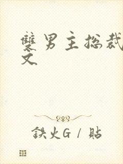 双男主总裁生子文