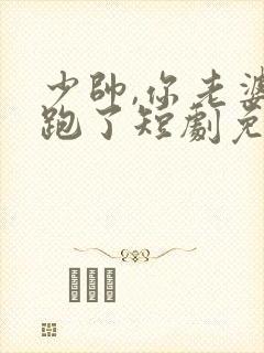 少帅,你老婆又跑了短剧免费大结局