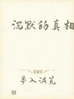 沉默的真相细节