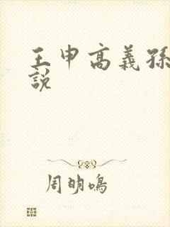 王申高义孙倩小说