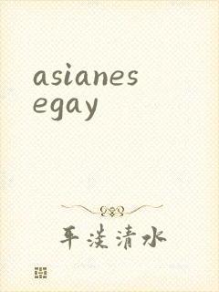 asianesegay封面