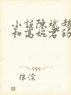 小说陈斌赵心媚和高婉君的小说免费阅读