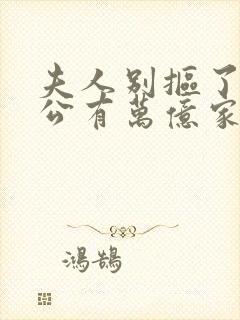 夫人别抠了你老公有万亿家产短剧全集免费封面