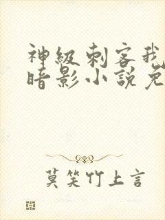 神级刺客我即是暗影小说免费阅读